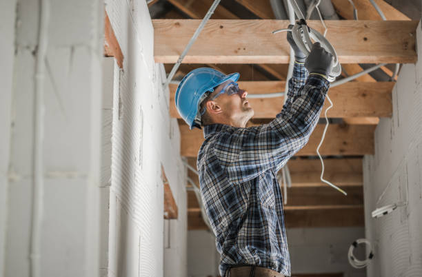 Best Home Electrical Repair  in Hampshire, IL